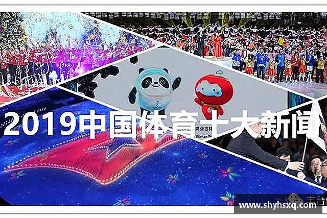 介绍OB电竞